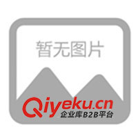 供應時尚動感籃球機 2008與奧運同步籃球賽事(圖)